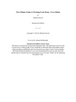 The Ultimate Guide to Working From Home - Free docx