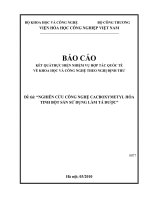 Nghiên cứu công nghệ cacboxymetyl hoá tinh bột sắn sử dụng làm tá dược