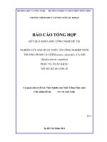 Nghiên cứu sản xuất thức ăn công nghiệp nuôi thương phẩm cá chẽm (lates calcarifer), cá giò (rachycentron caradum) phục vũ xuất khẩu