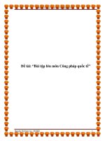 Đề tài: “Bài tập lớn môn Công pháp quốc tế” docx