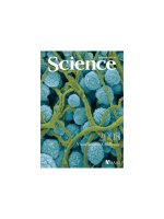 science magazine 2008-09-26