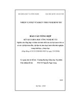 Nghiên cứu tổng hợp và khảo sát tính chất của các hạt nano trên cơ sở các vật liệu bán dẫn, vật liệu từ, kim loại; bước đầu thử nghiệm trong sinh học, y dược học