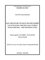 Luận văn:Hạn chế rủi ro tín dụng doanh nghiệp tại ngân hàng thương mại cổ phần ngoại thương - Chi nhánh Đà Nẵng docx