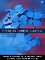 seager - theories of consciousness - introduction and assessment (routledge, 1999)