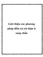 Giới thiệu các phương pháp điều trị sỏi thận ít sang chấn pptx