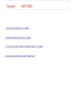 Bài giảng kinh tế lượng Giới thiệu tổng quan