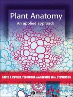 cutler - plant anatomy - an applied approach (blackwell, 2007)