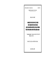 Nghiên cứu giải pháp cải thiện chất lượng thức ăn bổ sung dựa vào nguồn nguyên liệu địa phương ở một vùng nông thôn tỉnh Quảng Nam