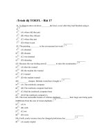 Đề thi và đáp án tiếng anh trình độ TOEFL - Đề số 17 pdf