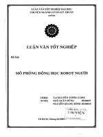 LUẬN VĂN TỐT NGHIỆP CƠ KHÍ MÔ PHỎNG ĐỘNG HỌC ROBOT NGƯỜI