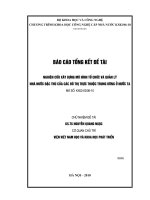 Nghiên cứu xây dựng mô hình tổ chức và quản lý nhà nước đặc thù của các đô thị trực thuộc trung ương ở nước ta