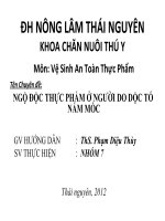 Ngộ độc thực phẩm ở người do độc tố nấm mốc
