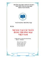 Nợ xấu tại các ngân hàng thương mại Việt Nam