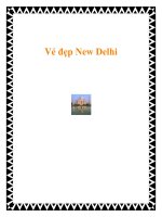 Vẻ đẹp New Delhi potx