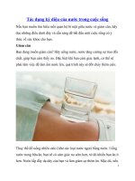 Tác dụng kỳ diệu của nước trong cuộc sống