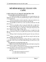 MÔ HÌNH ĐỊNH GIÁ TÀI SẢN VỐN CAPM