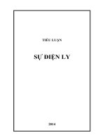 TIỂU LUẬN SỰ ĐIỆN LY