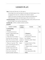 Bài giảng giáo án Speaking dành cho lớp 10