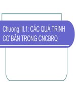 CHƯƠNG 3.1 PHÂN LOẠI LÀM SẠCH CÁC QUÁ TRÌNH HÓA HỌC HÓA LÝ CỦA RAU QUẢ