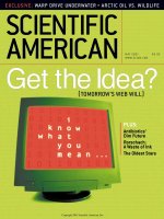 scientific american   -  2001 05  -  get the idea (tomorrow's web will)