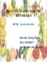 Bài thuyết trình đại cương về công nghệ chế biến rau quả sự sản sinh etylen