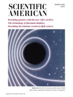 scientific american   -  1993 03  -  black holes and the centrifugal force paradox