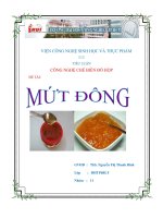 Công nghệ chế biến đồ hộp mứt đông