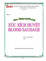 Báo Cáo môn Phát Triển Sản Phẩm