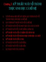 kĩ thuật nuôi cá bố mẹ