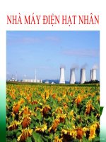 Nhà máy điện hạt nhân