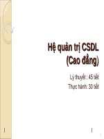 Hệ quản trị CSDL (Cao đẳng)