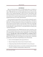 giải pháp nâng cao hiệu quả hoạt động tiêu thụ và marketing tại công ty tnhh nhất thiên nam