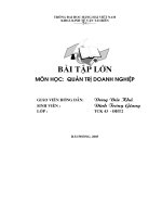 phân tích việc thực hiện chương trình marketing ở công ty may 10