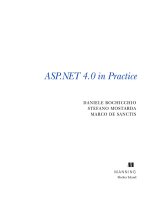 asp.net 4.0 in practice