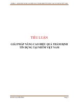 giải pháp nâng cao hiệu quả thẩm định tín dụng tại ngân hàng thương mại việt nam