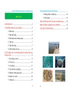 nuôi cua biển thương phẩm từ con giống nhân tạo