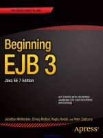 beginning  ejb 3.1  2nd  edition