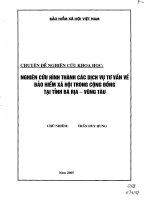 nghiên cứu hình thành các dịch vụ tư vấn về bảo hiểm xã hội trong cộng đồng tại tỉnh bà rịa-vũng tàu