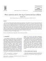 phase explosion and its time lag in nanosecond laser ablation