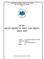Bài tập nhóm: Quyết định cấu trúc vốn trong thực tiễn