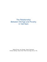 the relationship between old age and poverty in viet nam