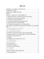 Nghiên cứu khả năng tích tụ thủy ngân trong nghêu Bến Tre Meretrix lyrata (Sowerby, 1825) ở khu vực cửa sông Bạch Đằng - Hải Phòng