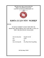 Khóa luận tốt nghiệp sử dụng nghiệp vụ hoán đổi tiền tệ nhằm mục đích phòng ngừa rủi ro và đầu cơ trên thị trường ngoại hối
