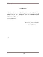 hướng đến mô hình toán học biểu diễn hiệu năng của kỹ thuật stbc