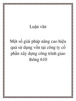 Luận văn Một số  giải pháp nâng cao hiệu quả sử dụng vốn tại Công ty cổ phần xây dựng công trình giao thông 610
