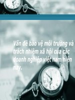 vấn đề bảo vệ môi trường và trách nhiệm xã hội