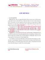 Kế toán bán hàng và xác định kết quả kinh doanh công ty cổ phần kỹ nghệ thực phẩm Việt nam II (Vifon II)