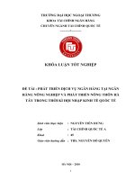 phát triển dịch vụ ngân hàng tại ngân hàng nông nghiệp và phát triển nông thôn hà tây trong thời kỳ hội nhập kinh tế quốc tế