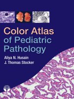 color atlas of pediatric pathology  -  a. husain, j. stocker (demos, 2011)