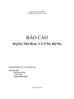 BÁO CÁO MẠNG NEURAL VÀ ỨNG DỤNG